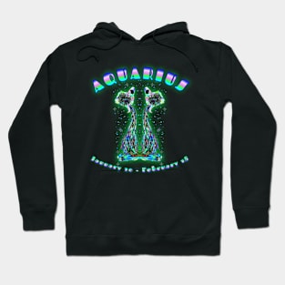 Aquarius 7b Black Hoodie